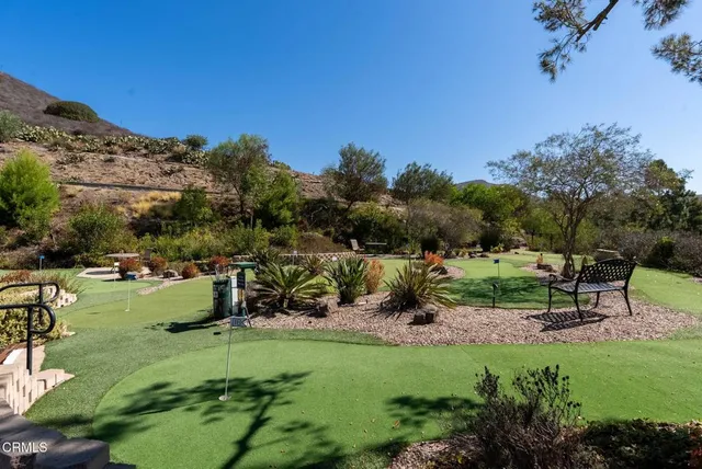 a view of a park with large trees