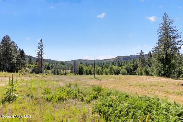 197 Schneiders Road Sagle, ID 83860 - Photo 21 of 34 11590