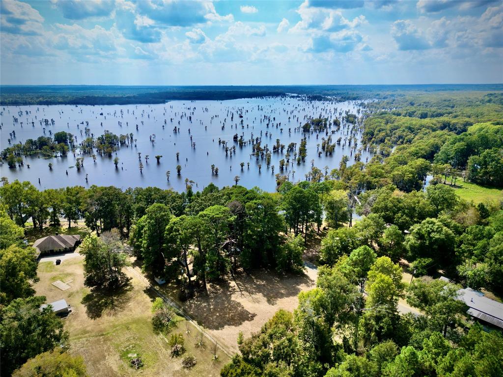 15585 Rudd Road Ida, LA 71044 - Photo 1 of 27 Expansive water body featuring numerous tree stumps