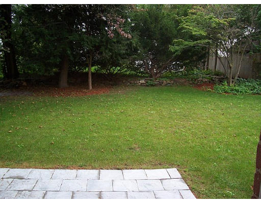 31 Harding Road Lexington, MA 02420 - Photo 14 of 16 a view of yard with trees