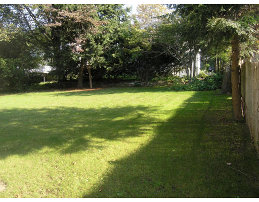 31 Harding Road Lexington, MA 02420 - Photo 16 of 16 a view of a yard