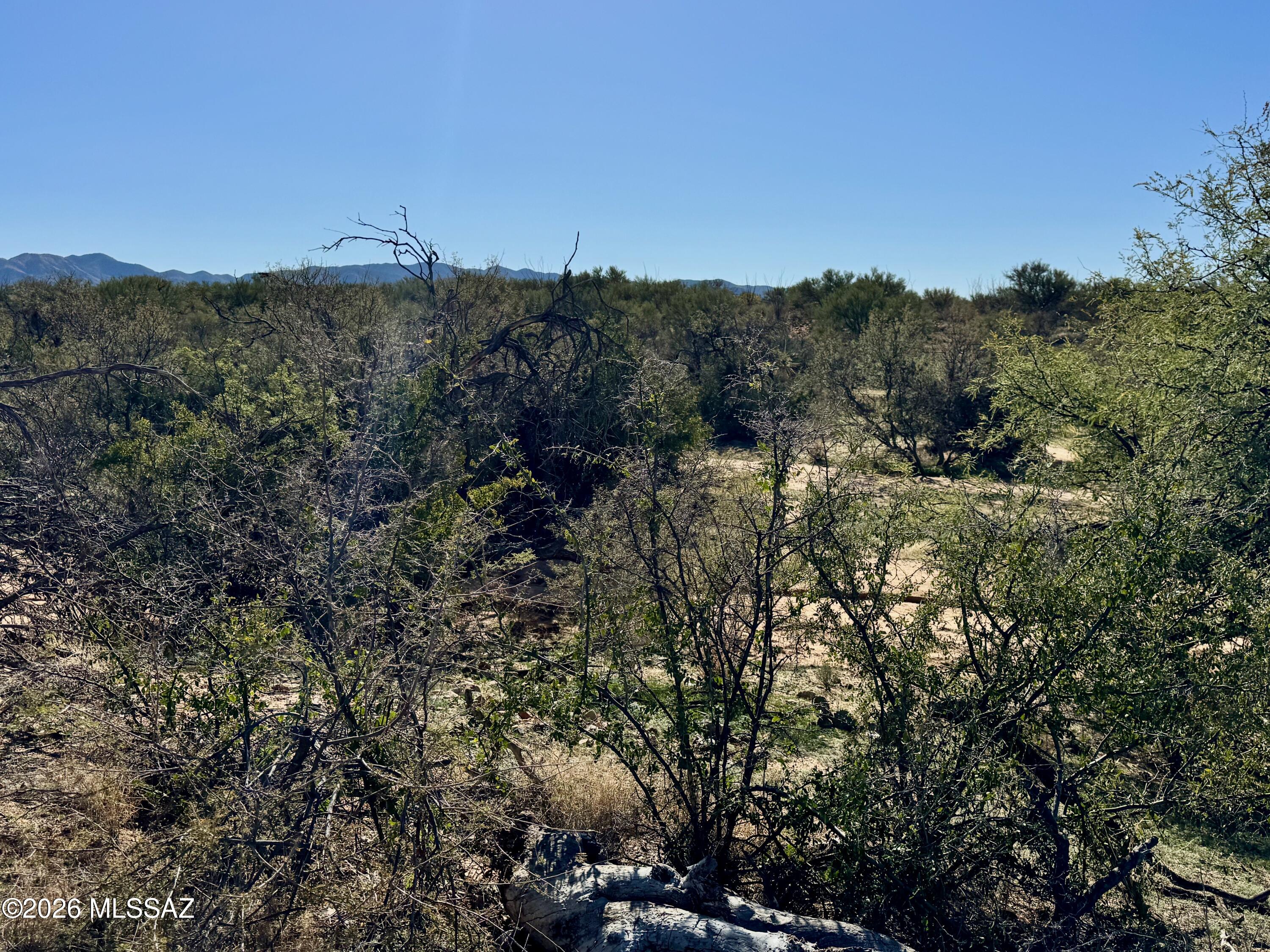 15783 West Phillips Road, Unit 151 Tucson, AZ 85736 - Photo 7 of 35