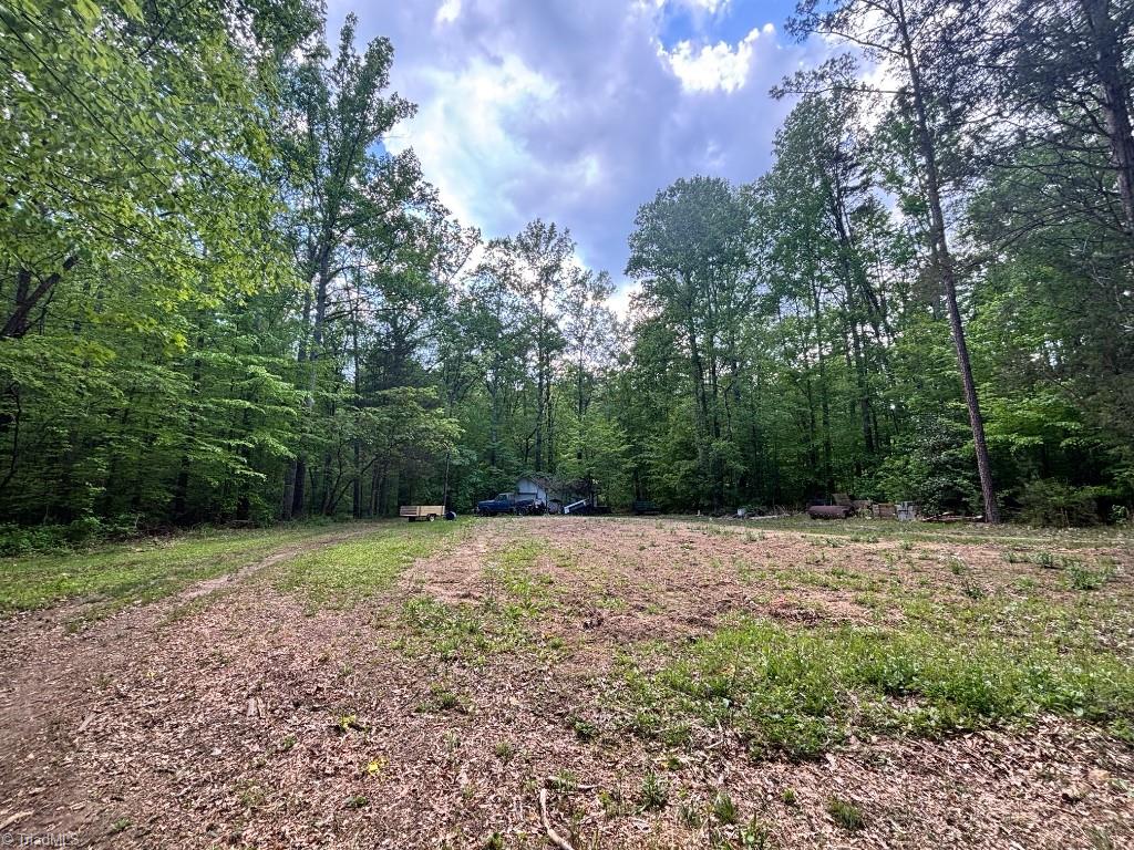 7198 Spring Hill Road Lewisville, NC 27023 - Photo 30 of 42 Workshop with power, lights, garage & walk-in door on cleared area near front of lot
