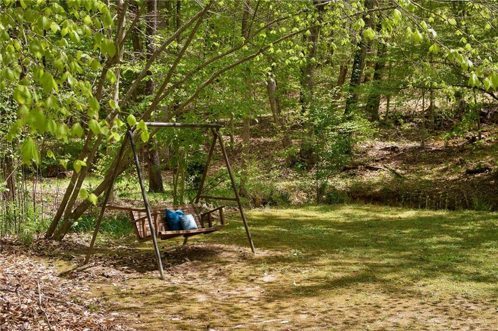 7198 Spring Hill Road Lewisville, NC 27023 - Photo 32 of 42 swing awhile