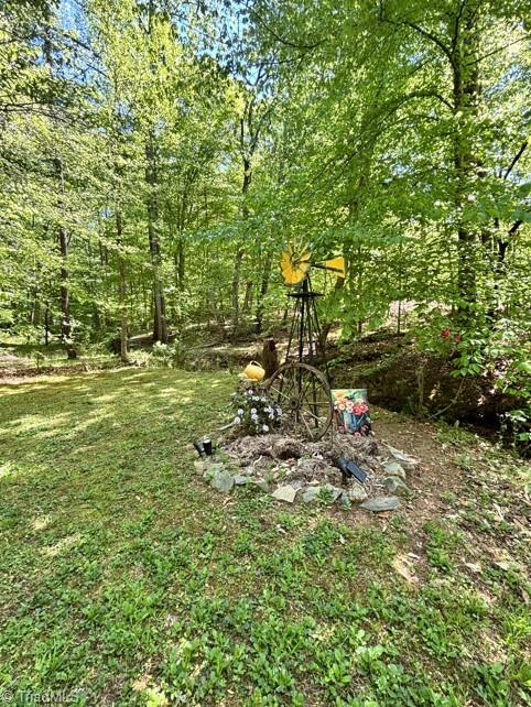 7198 Spring Hill Road Lewisville, NC 27023 - Photo 33 of 42 garden vignette