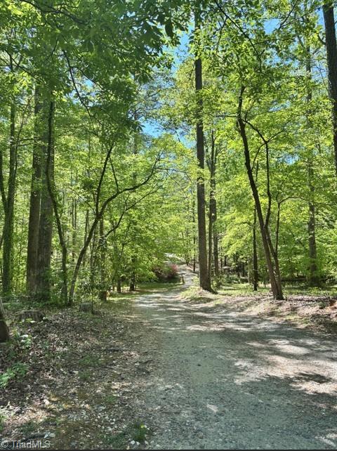 7198 Spring Hill Road Lewisville, NC 27023 - Photo 35 of 42