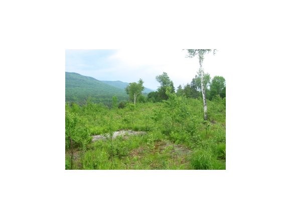 Maston Hill Road Granville, VT 05747 - Photo 1 of 1 Gallery Image 1
