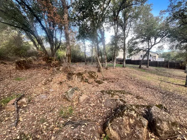 a view of a yard with a tree