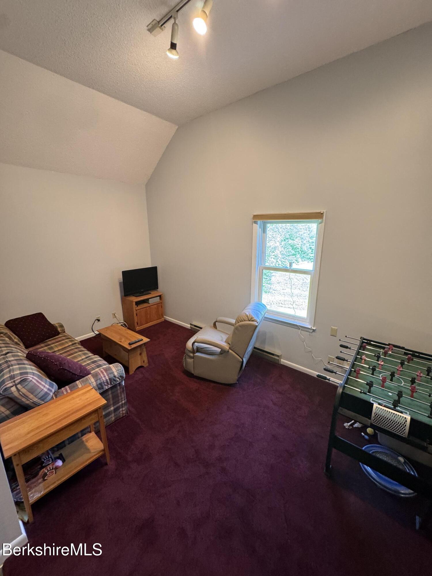 37 Corey Road, Unit 63 Hancock, MA 01237 - Photo 17 of 24 IMG_1500