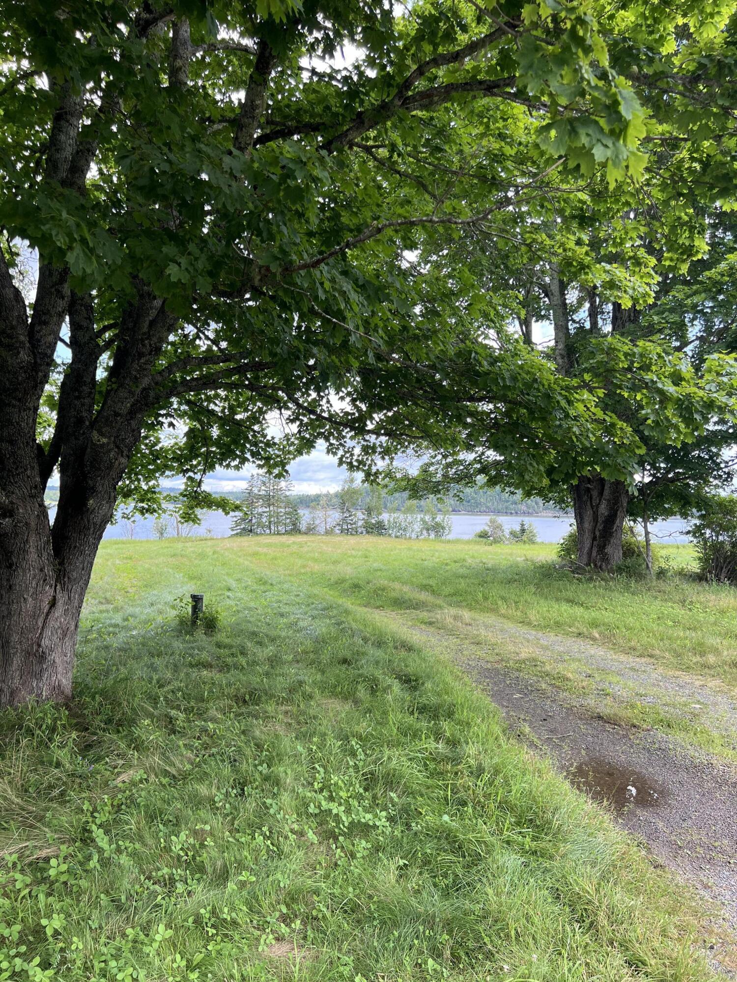 Lot # Leighton Point Road Pembroke, ME 04666 - Photo 3 of 20 IMG_0094