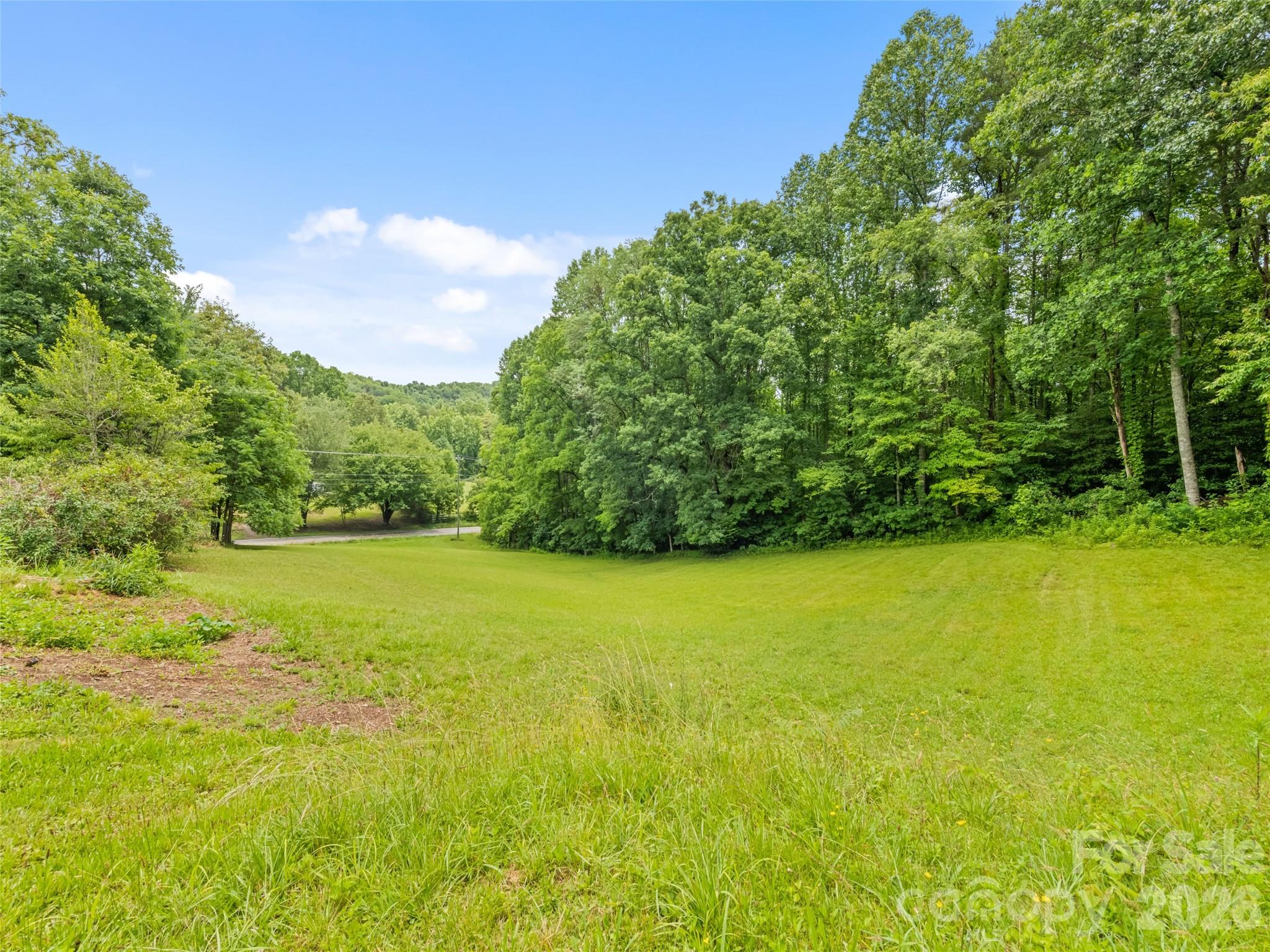 586 Olivet Church Road Whittier, NC 28789 - Photo 10 of 30