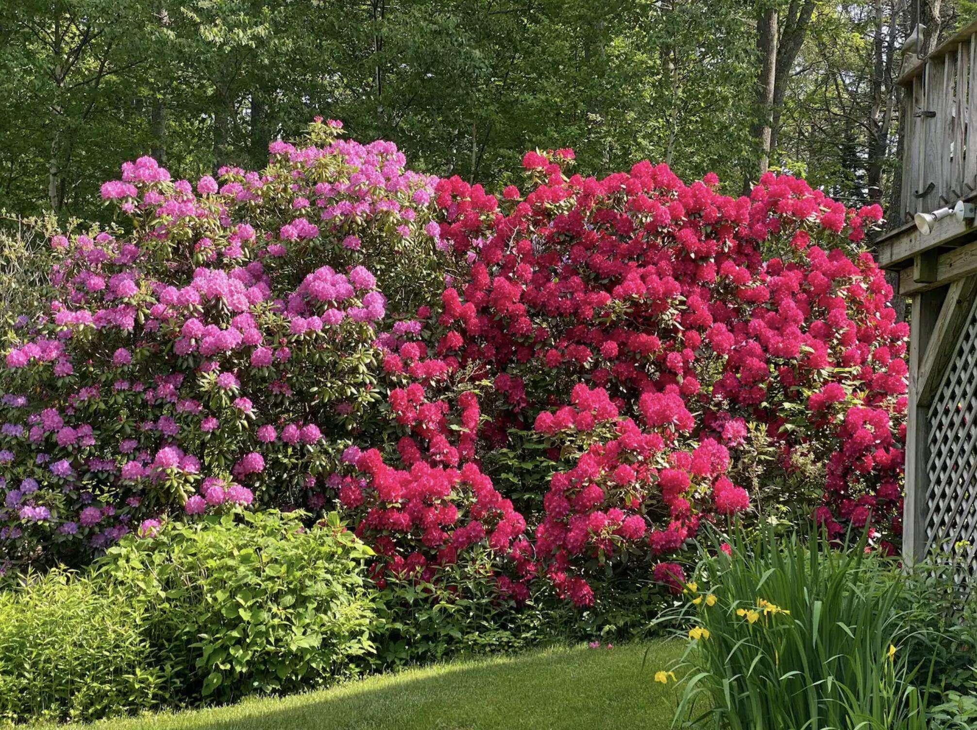 85 Wilson Cove Road Harpswell, ME 04079 - Photo 19 of 24 Gardens Wilson