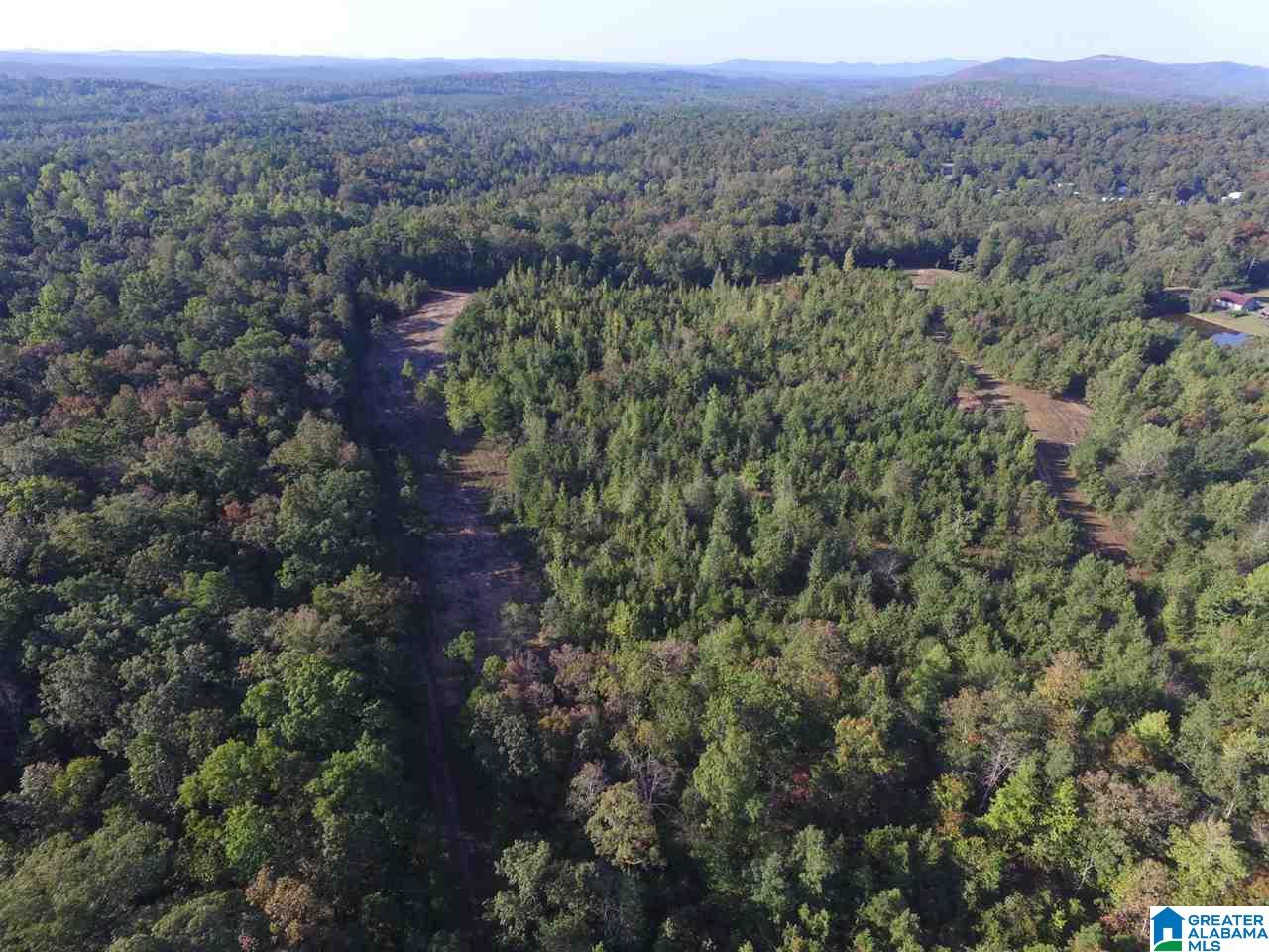 220 Gant Road, Unit 106 AC Pell City, AL 35128 - Photo 6 of 23