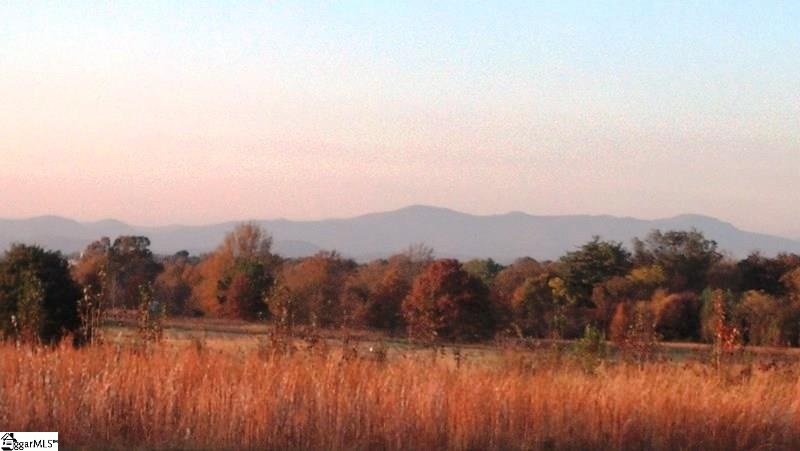 921 Gowan Road Inman, SC 29349 - Photo 2 of 5