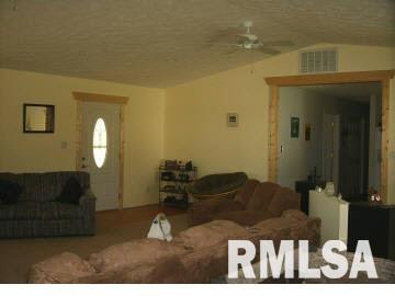 19478 Dean Road Thompsonville, IL 62890 - Photo 3 of 7
