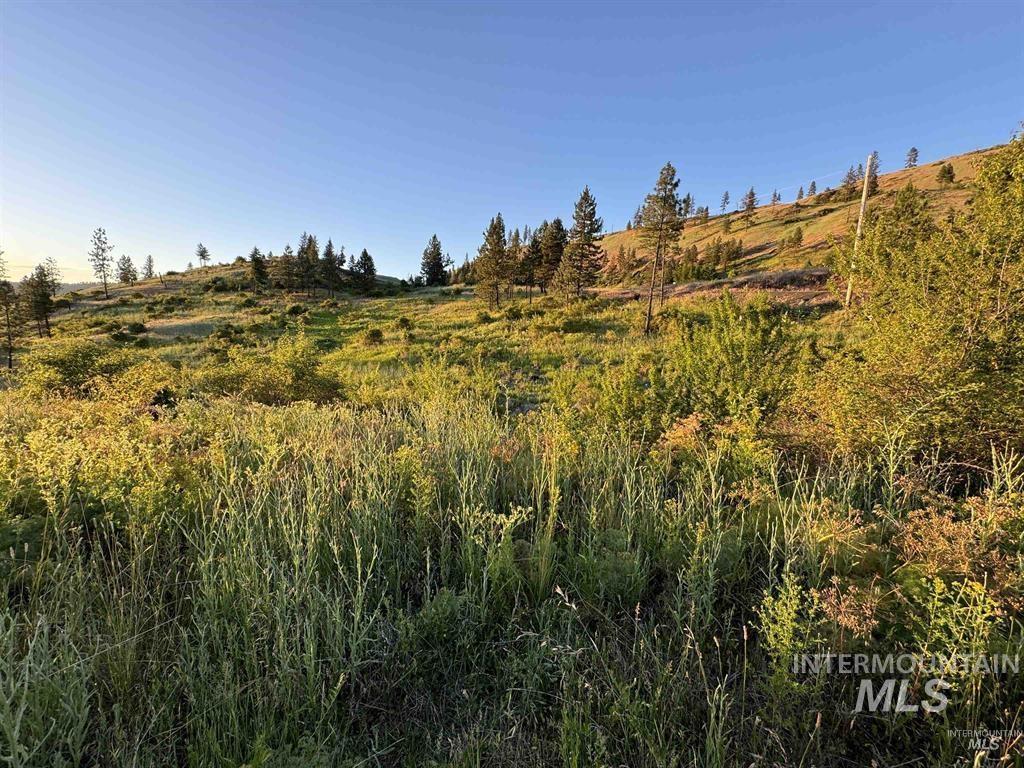 Tbd Lot #3 Beaverslide Road Kamiah, ID 83536 - Photo 18 of 21 Gallery Image 18