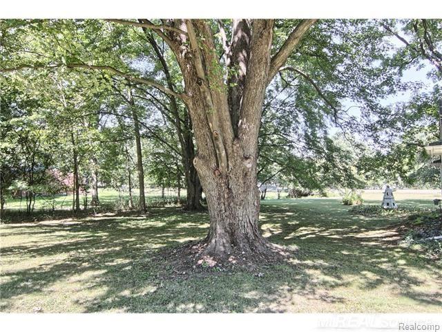 1769 West Avon Road Rochester Hills, MI 48309 - Photo 2 of 26