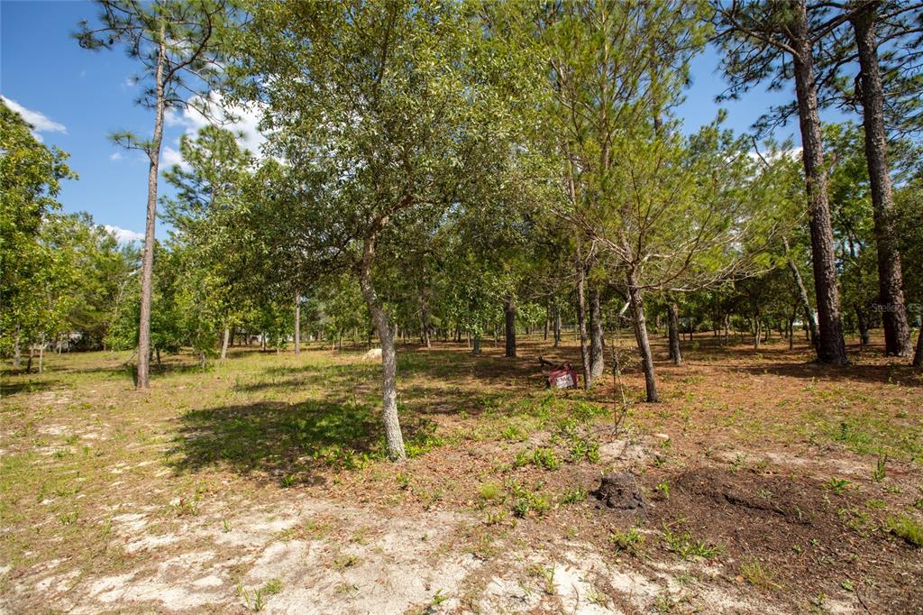 5670 Acadia Street Keystone Heights, FL 32656 - Photo 12 of 65 a backyard of a house with trees