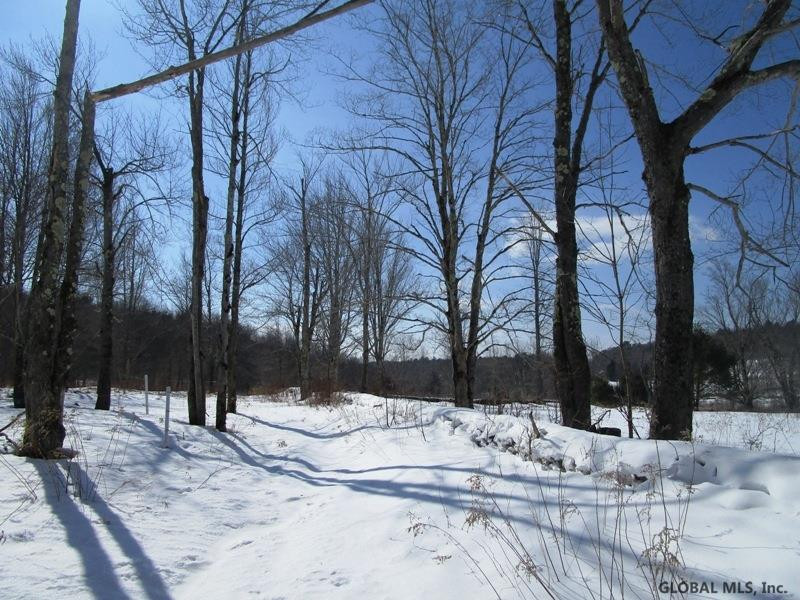 182 Fuller District Road Jefferson, NY 12093 - Photo 8 of 13 Photo 8