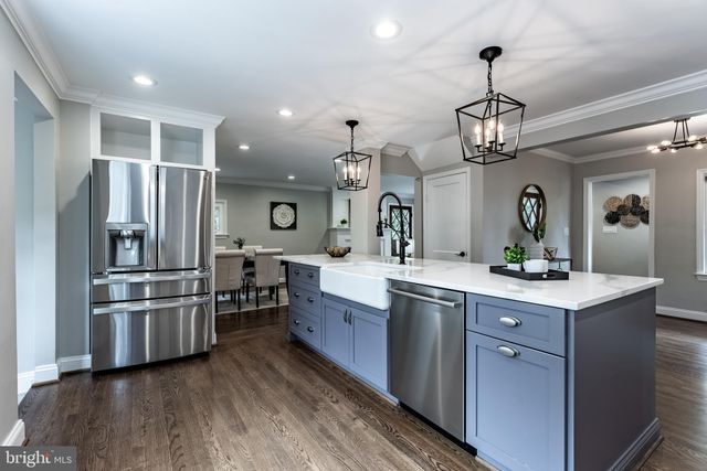 a view of a yard with plants