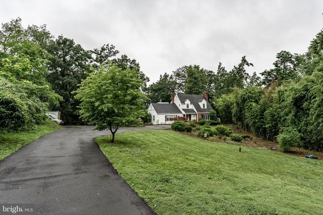 a living room with furniture a potted plant and kitchen view