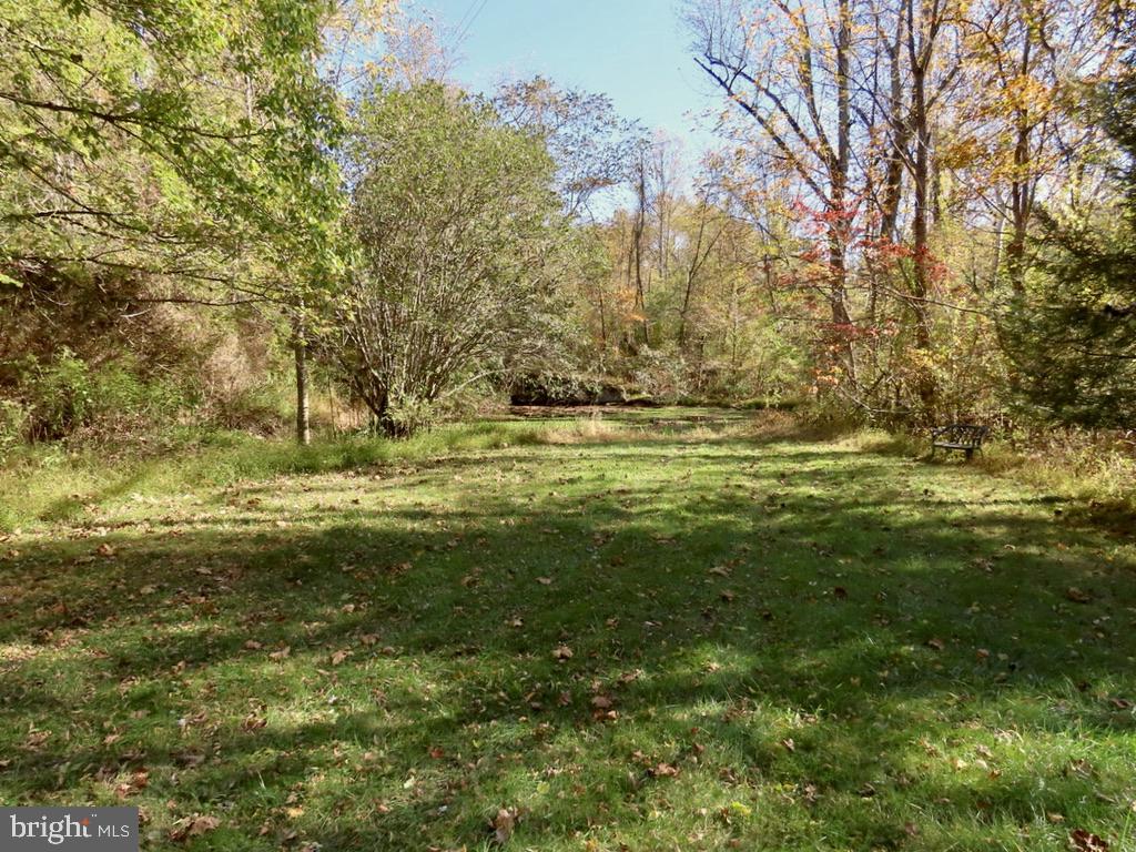172 Keyser Run Road Washington, VA 22747 - Photo 27 of 36 Field and pond