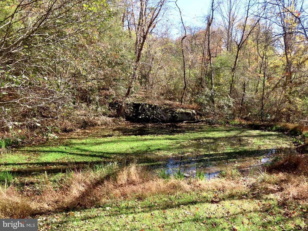 172 Keyser Run Road Washington, VA 22747 - Photo 28 of 36 Pond