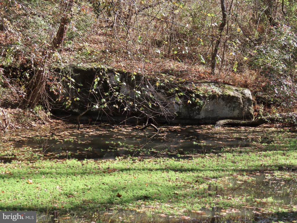172 Keyser Run Road Washington, VA 22747 - Photo 29 of 36 Boulder on the edge of the pond
