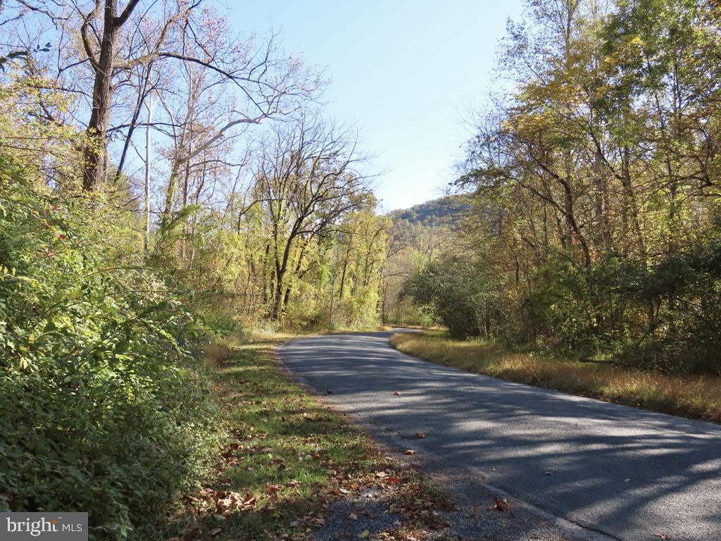 172 Keyser Run Road Washington, VA 22747 - Photo 33 of 36 Living on a country road