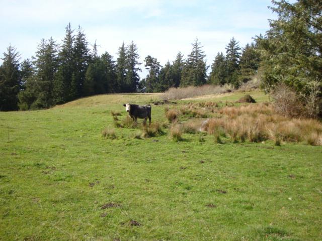 0 Berta Road Eureka, CA 95503 - Photo 20 of 20