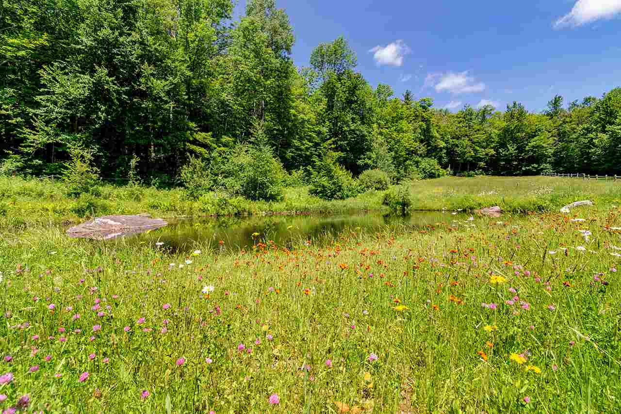 415 Landgrove Road Landgrove, VT 05148 - Photo 4 of 25