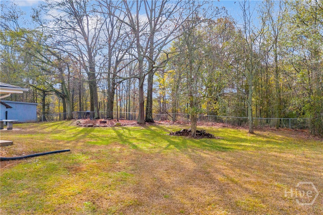 975 Diamond Hill Neese Road Colbert, GA 30628 - Photo 40 of 63 Gallery Image 40
