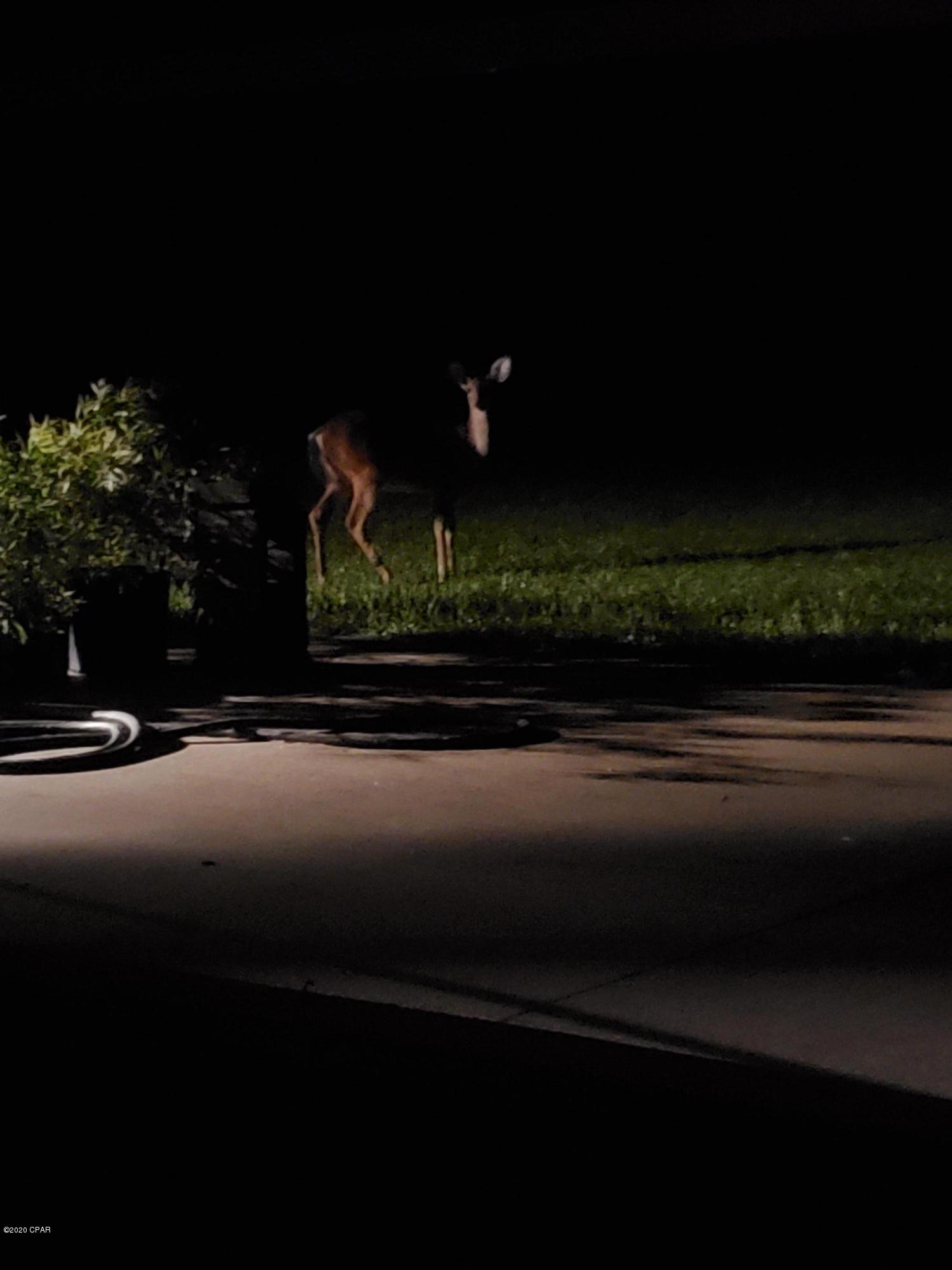 11310 Cowels Road Fountain, FL 32438 - Photo 36 of 40 Gallery Image 36
