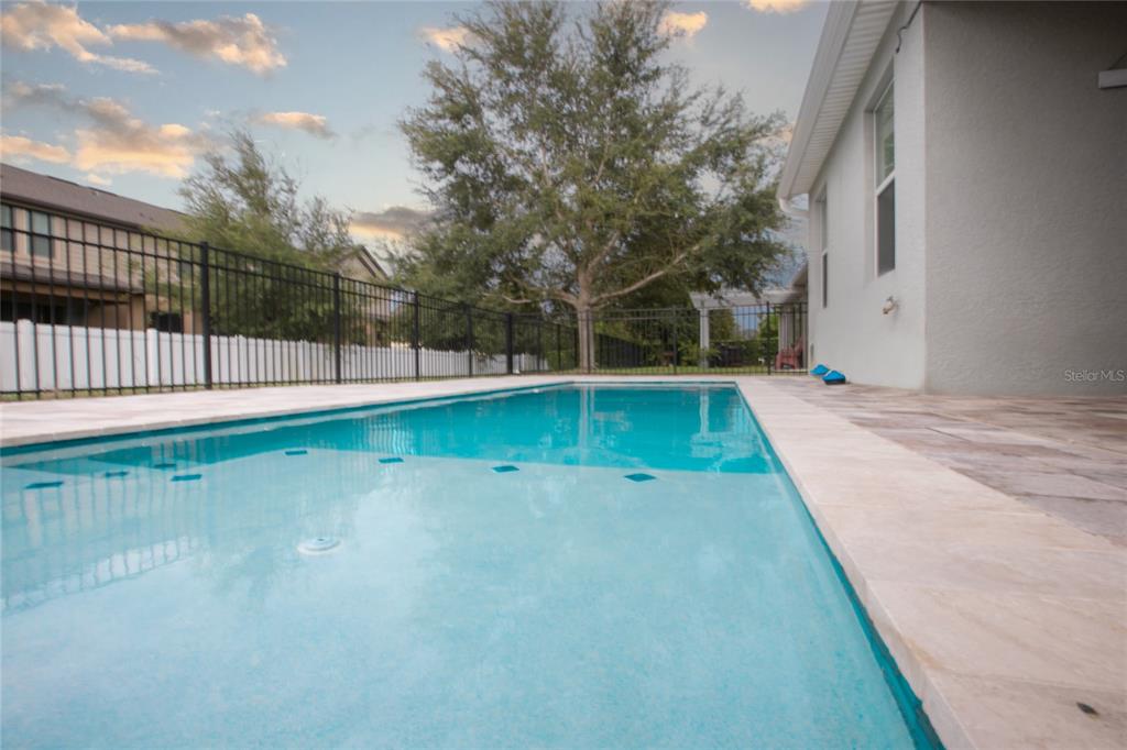 1185 Seburn Road Apopka, FL 32703 - Photo 44 of 47 a view of a swimming pool with a backyard