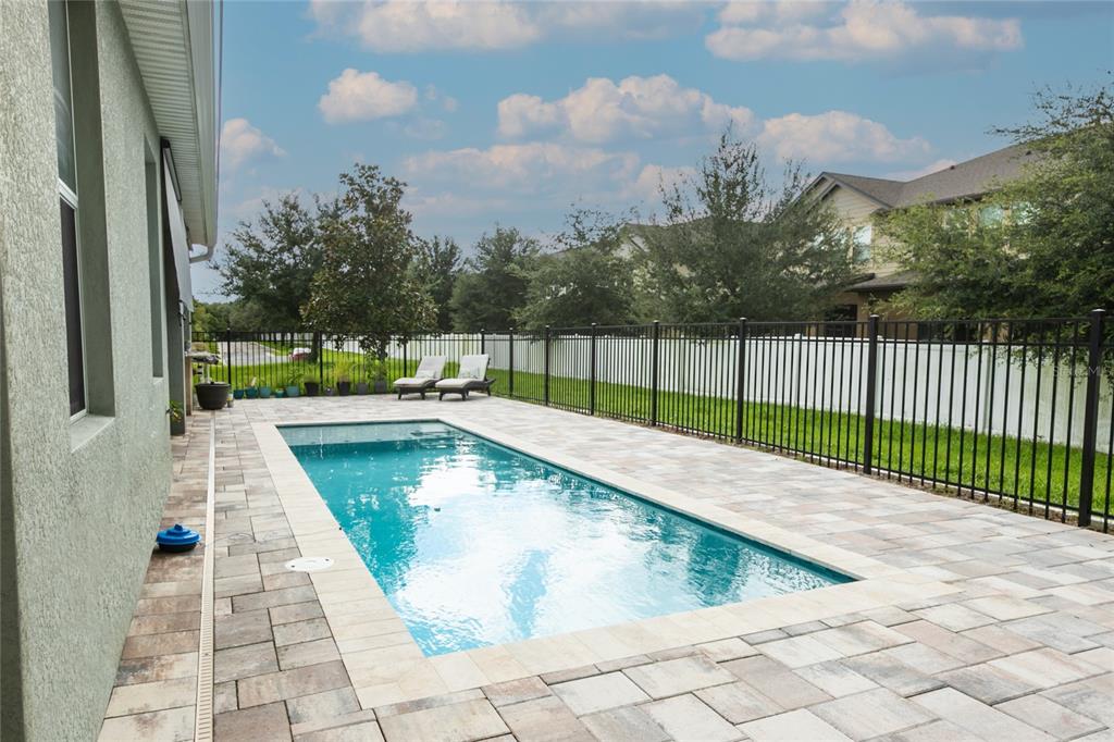 1185 Seburn Road Apopka, FL 32703 - Photo 46 of 47 a view of a swimming pool with a backyard