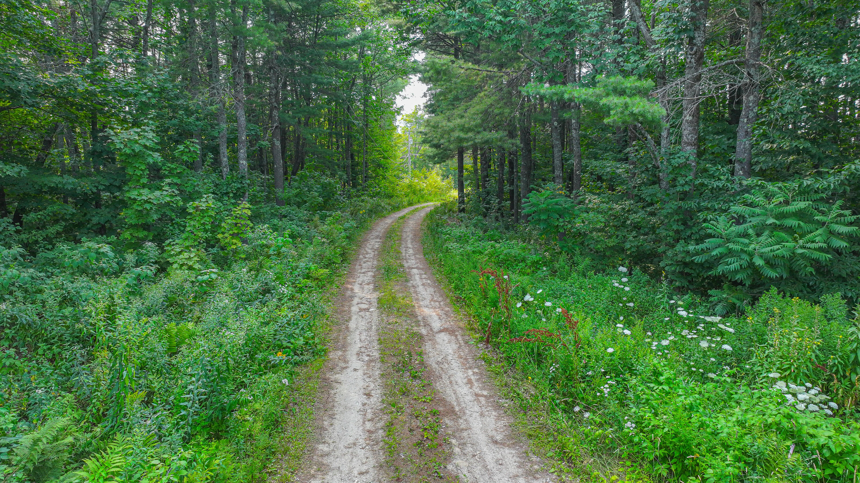 441 King Hill Road Paris, ME 04281 - Photo 13 of 42 441 king hill road-18