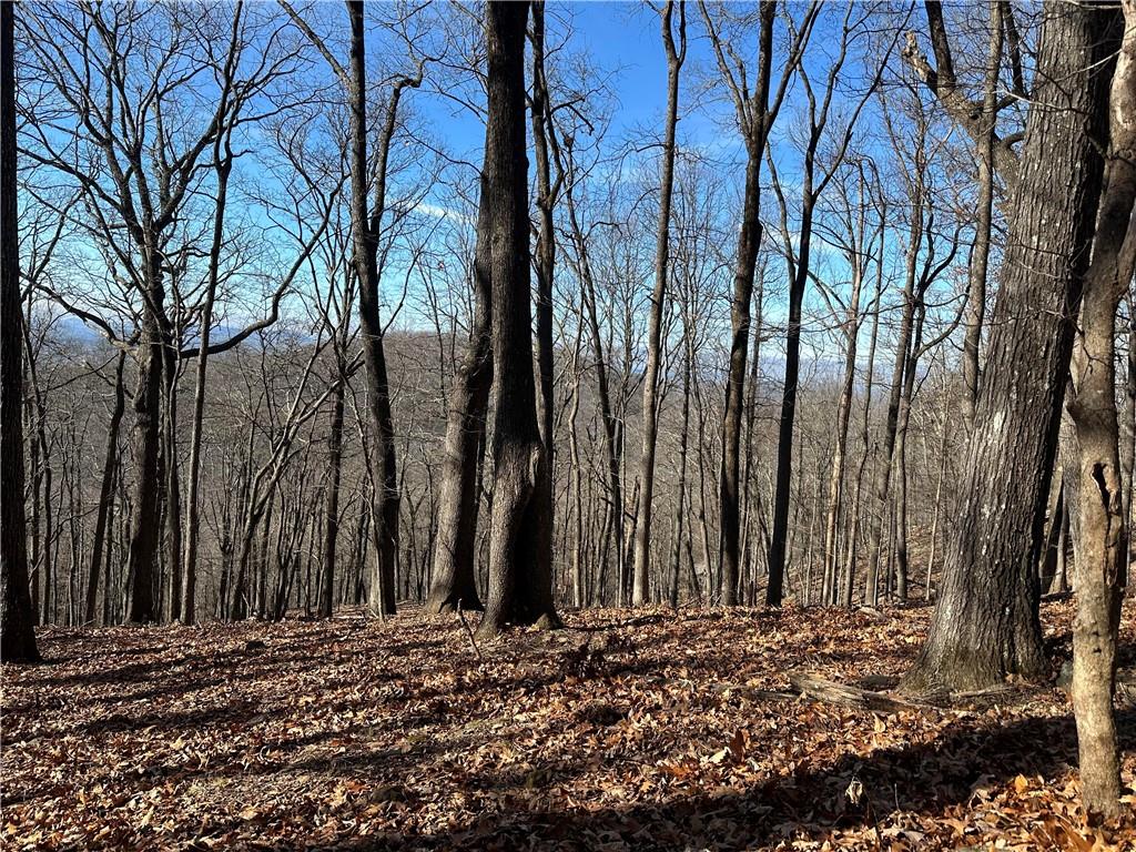 Lot671 Valley View Trail Jasper, GA 30143 - Photo 2 of 32 a view of a backyard of the house