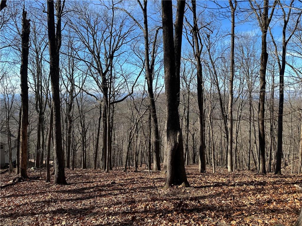 Lot671 Valley View Trail Jasper, GA 30143 - Photo 4 of 32 a view of a backyard