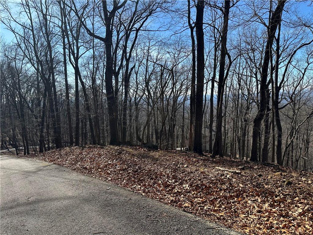 Lot671 Valley View Trail Jasper, GA 30143 - Photo 5 of 32 a view of wooden fence