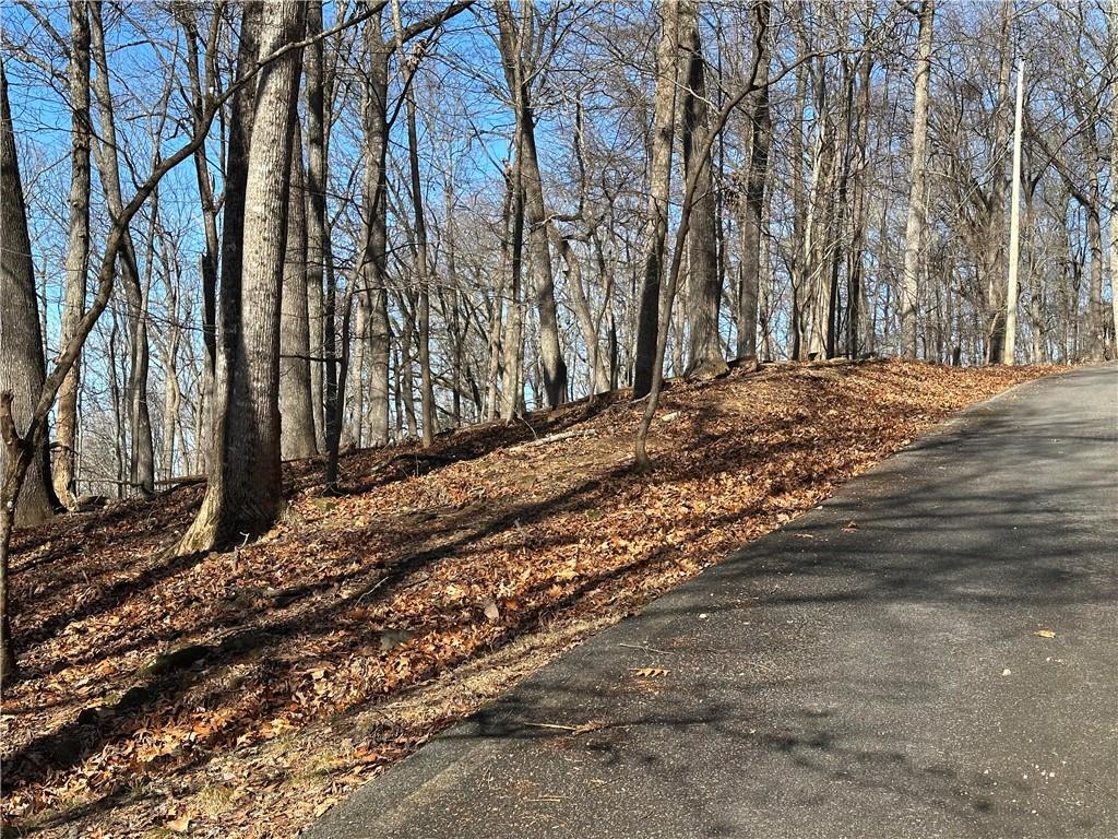 Lot671 Valley View Trail Jasper, GA 30143 - Photo 7 of 32 a view of a yard with trees