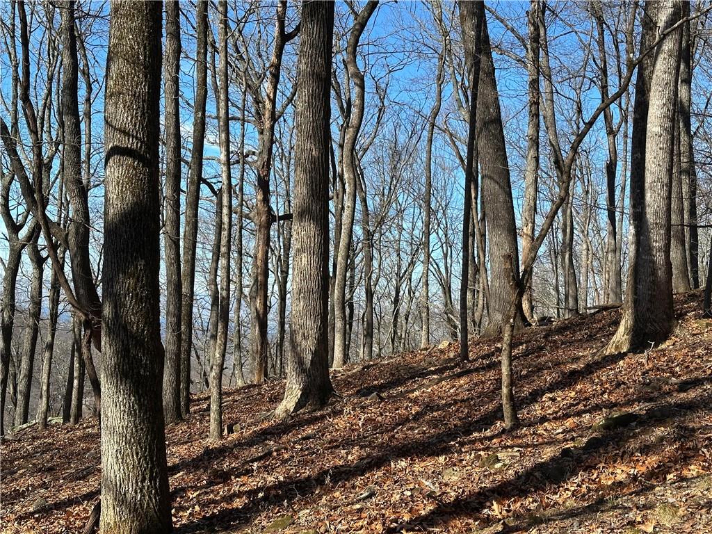 Lot671 Valley View Trail Jasper, GA 30143 - Photo 8 of 32 a backyard of a house with lots of green space