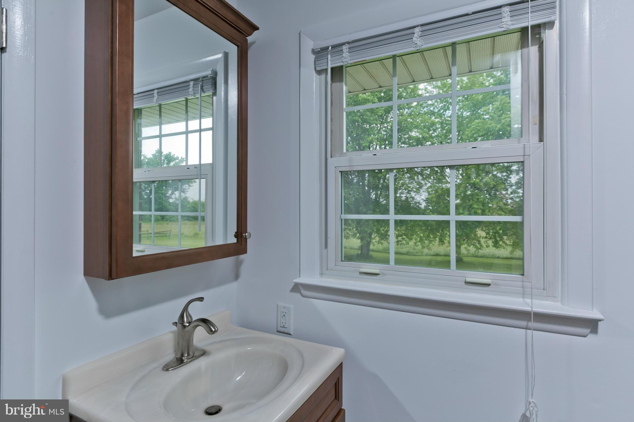 13126 Edgemont Road Smithsburg, MD 21783 - Photo 22 of 30 Bath (Master)
