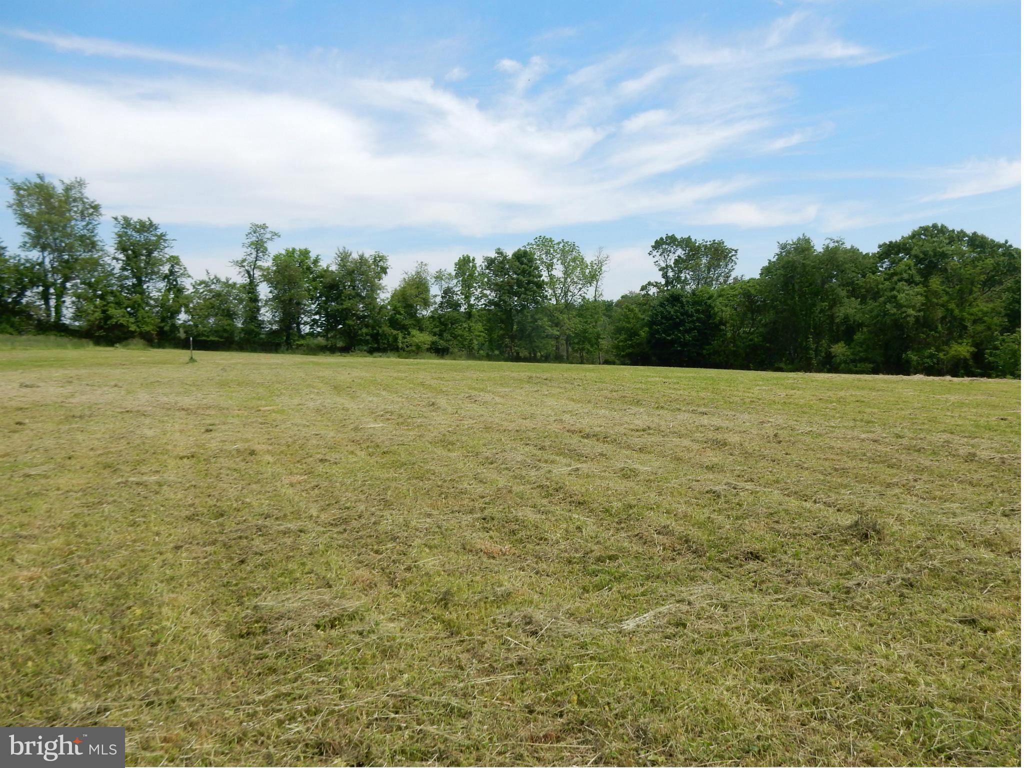 9547 Liberty Road Frederick, MD 21701 - Photo 1 of 18 a view of yard with trees in the background
