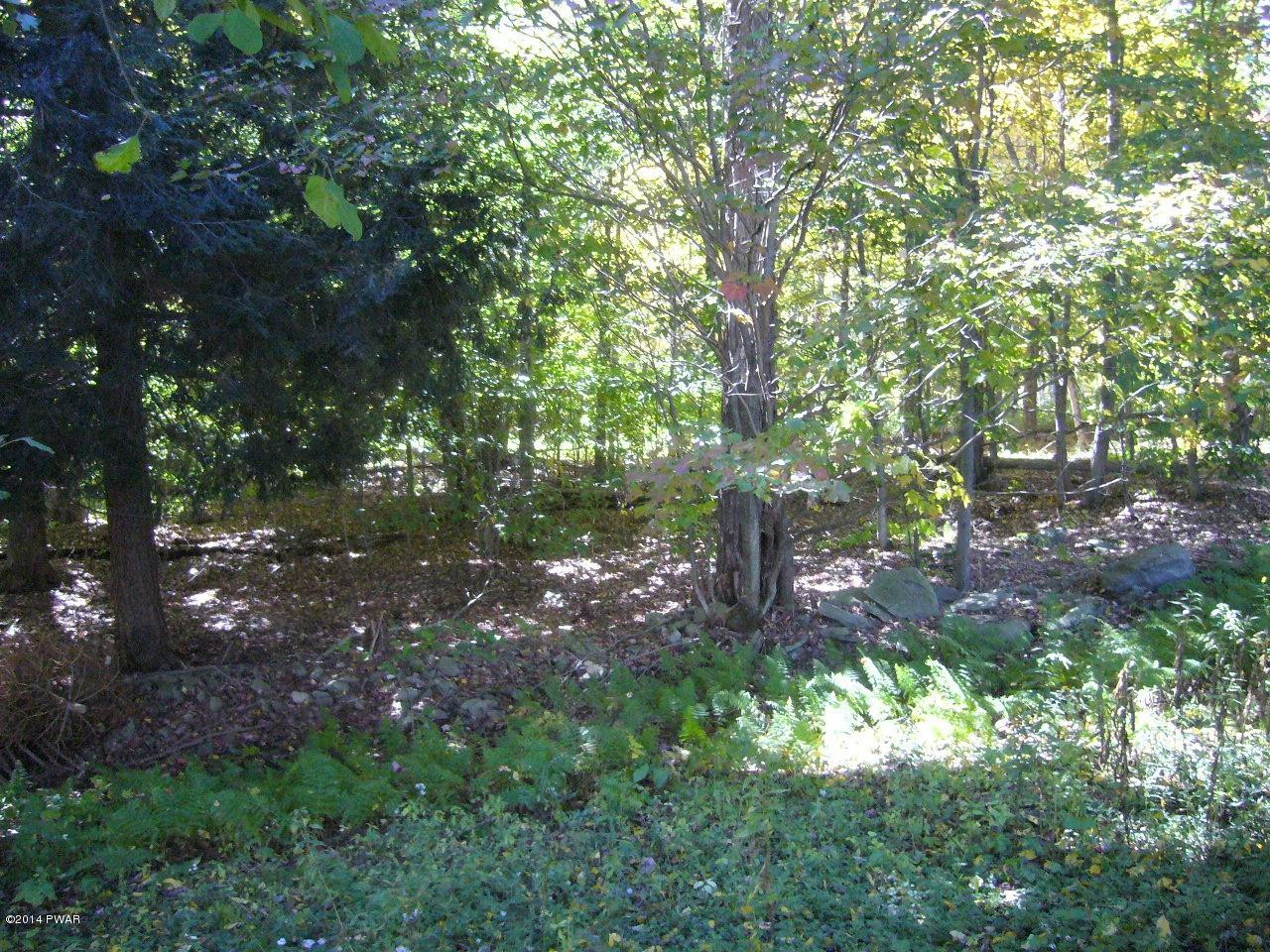 28 Jay Lord Road Hancock, NY 13783 - Photo 11 of 18