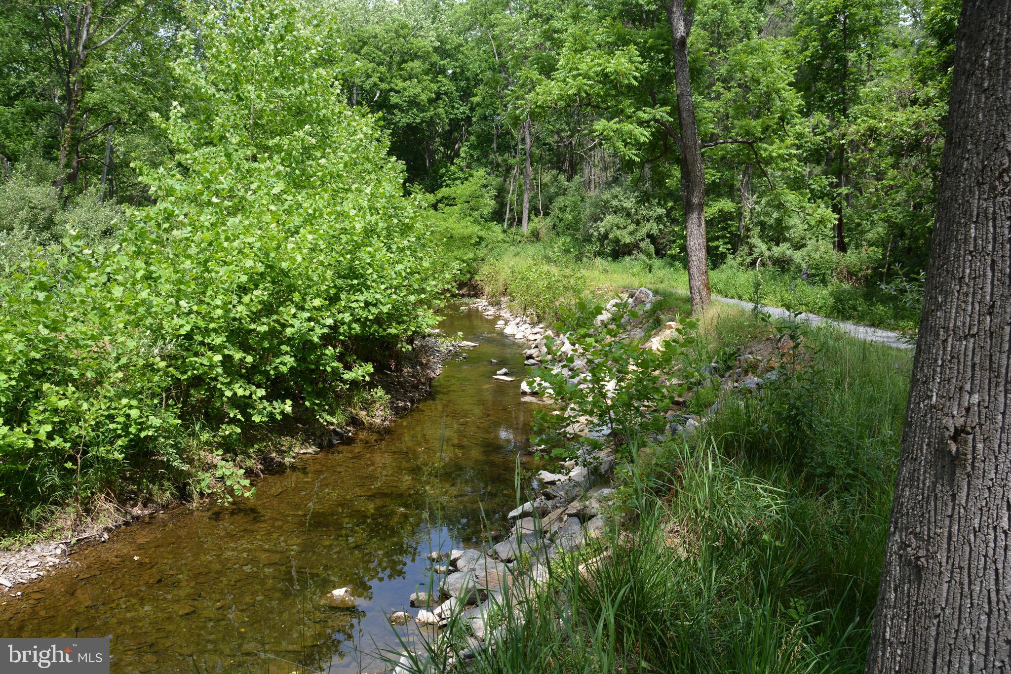 Two Lots On Siler Road Winchester, VA 22603 - Photo 2 of 38 a view of a lush green forest