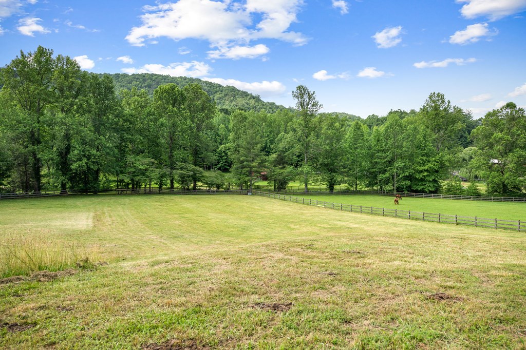 225 Cohutta Ranch Road Blue Ridge, GA 30513 - Photo 45 of 82