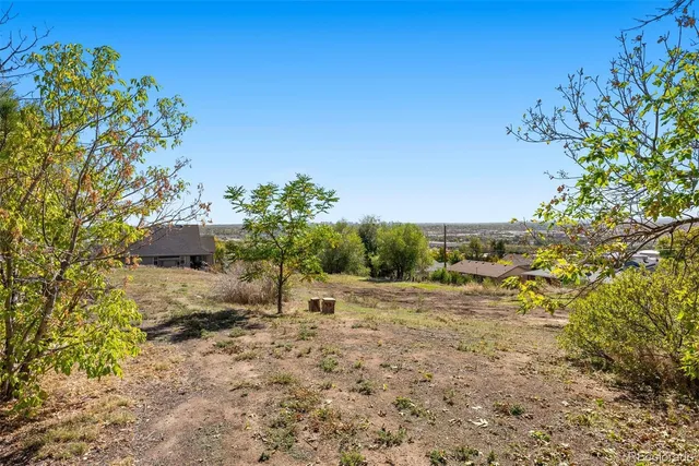 a view of a yard with a tree