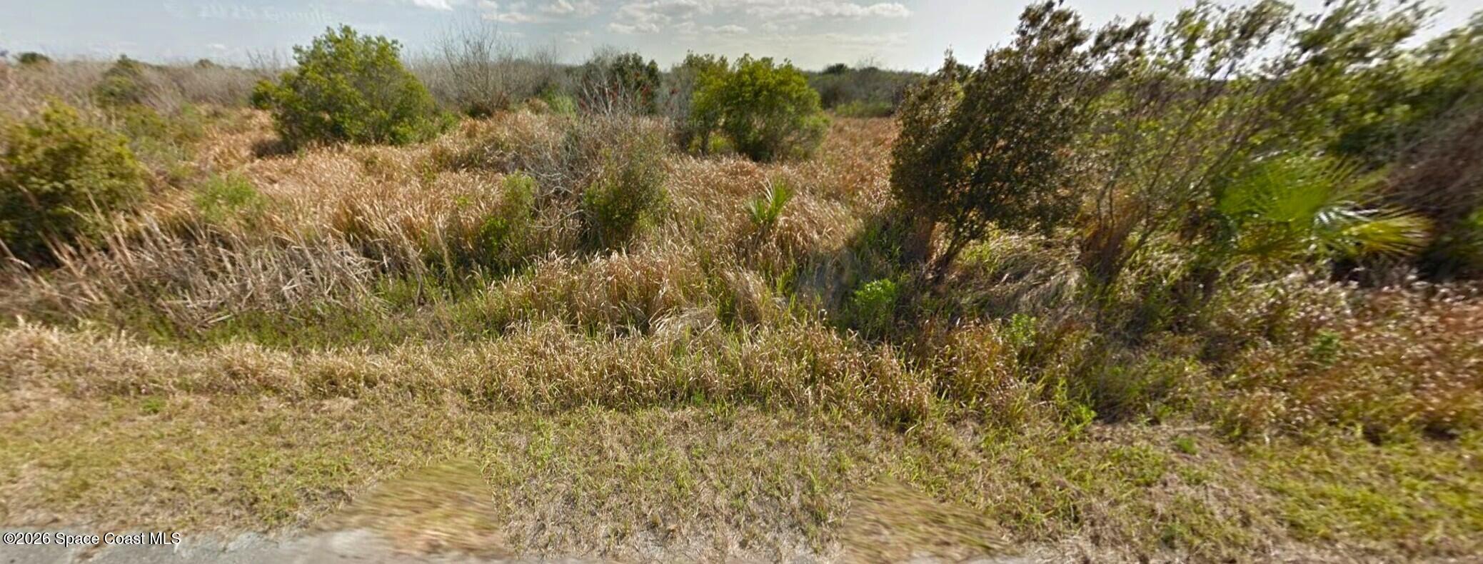 1470 Rosenfield Street Southwest Palm Bay, FL 32904 - Photo 3 of 5 a view of a yard