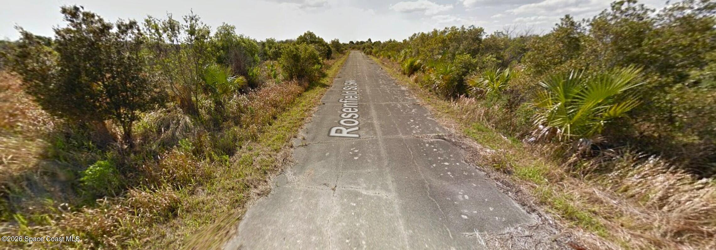1470 Rosenfield Street Southwest Palm Bay, FL 32904 - Photo 5 of 5 a view of a pathway both side of yard