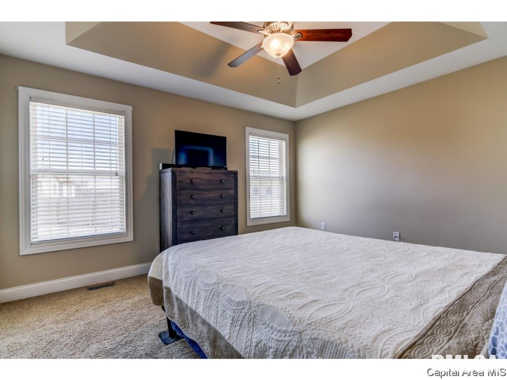 2922 Cronin Drive Springfield, IL 62711 - Photo 12 of 20